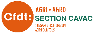 Logo CFDT CAVAC